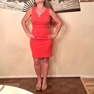 NWOT,Sleek & Sexy, Burnt Orange/Rust Midi Dress